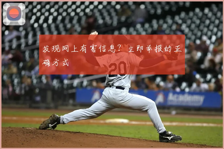 发现网上有害信息？立即举报的正确方式