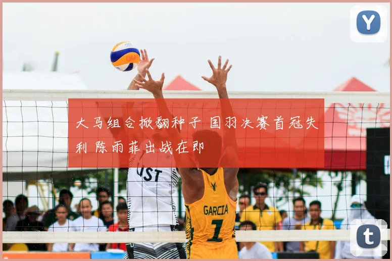 大马组合掀翻种子 国羽决赛首冠失利 陈雨菲出战在即